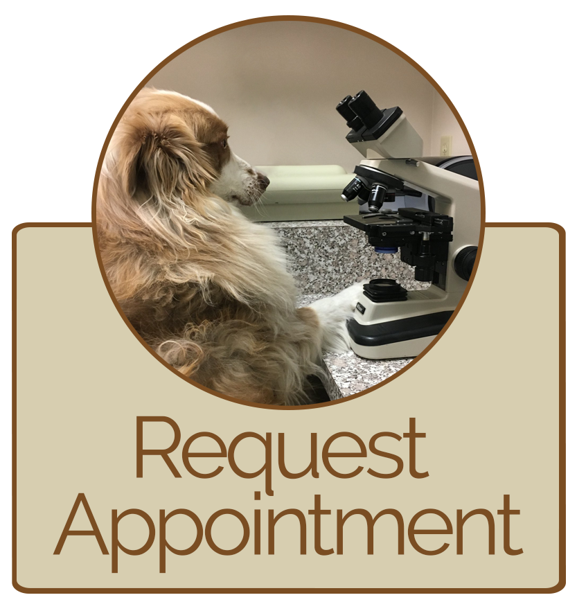 Request Appointment