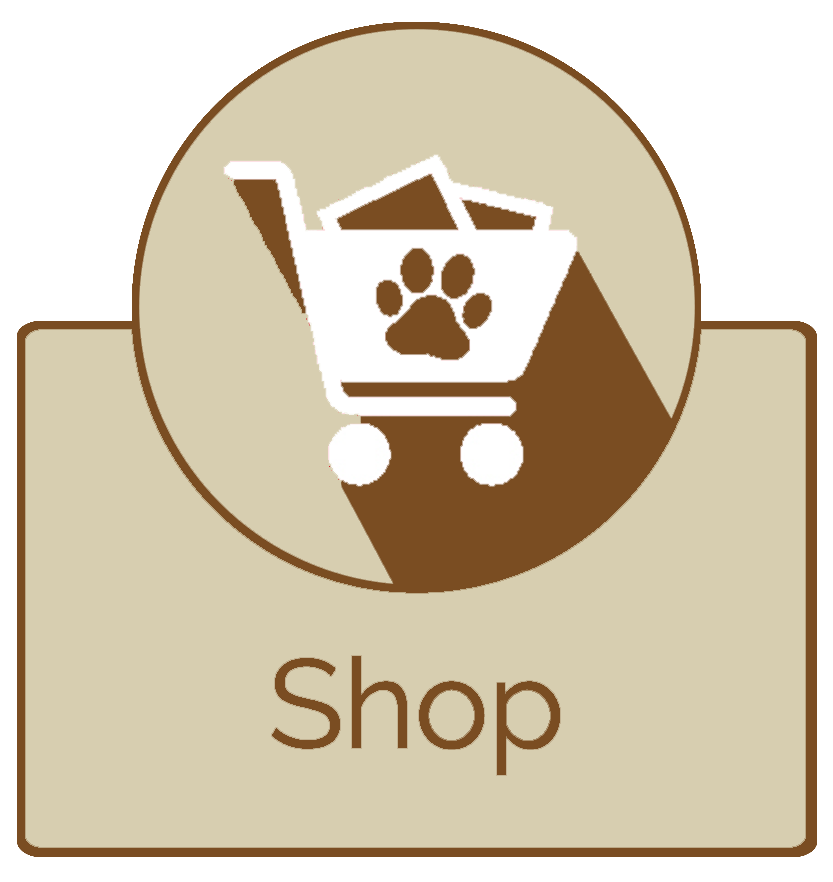 Our Online Store